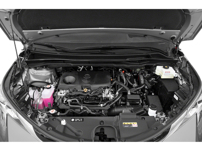 2021 Toyota Sienna Platinum AWD 7-Passenger