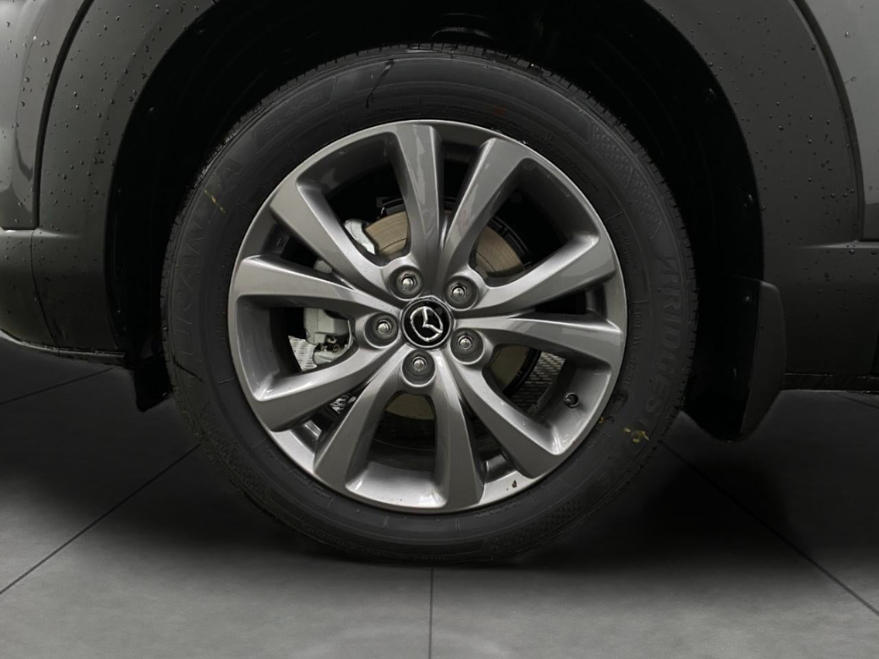 2026 Mazda Mazda CX-30 2.5 S Premium AWD