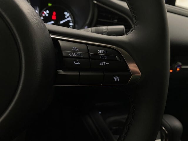 2026 Mazda Mazda CX-30 2.5 S Premium AWD