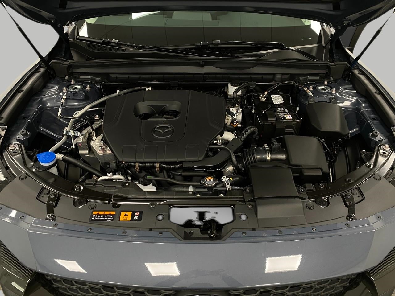 2025 Mazda Mazda CX-50 2.5 S Premium AWD