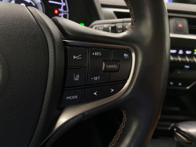2021 Lexus UX UX 250h AWD