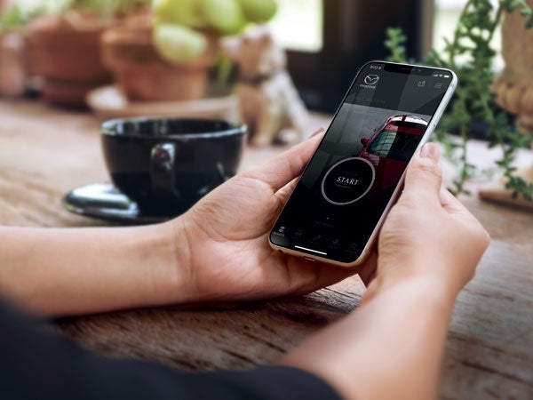 Bergstrom Mazda of Appleton in Appleton WI